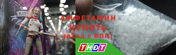 индика Армянск