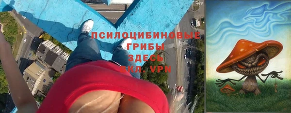 индика Армянск