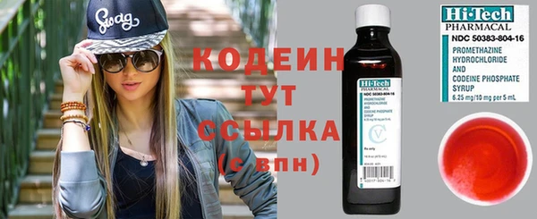 ГАЛЛЮЦИНОГЕННЫЕ ГРИБЫ Аркадак